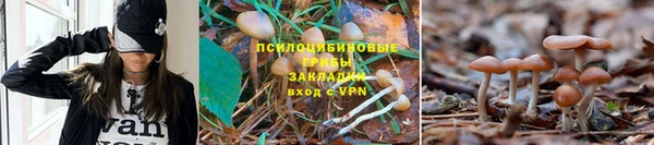 таблы Козельск