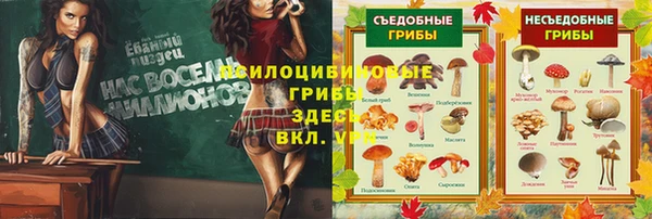 соль курить ск Костерёво